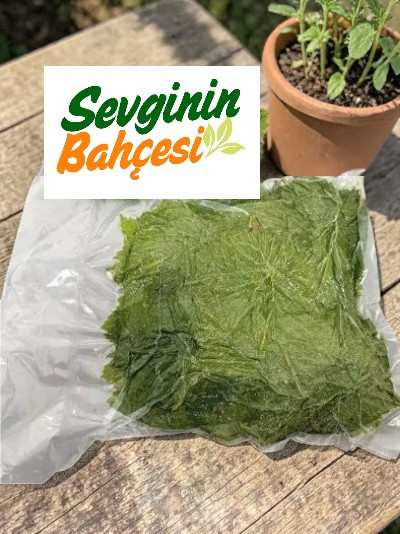 3 KG Vakumlu Taze Asma Yaprak