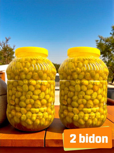 Yeşil Kırma Zeytin 2-Bidon