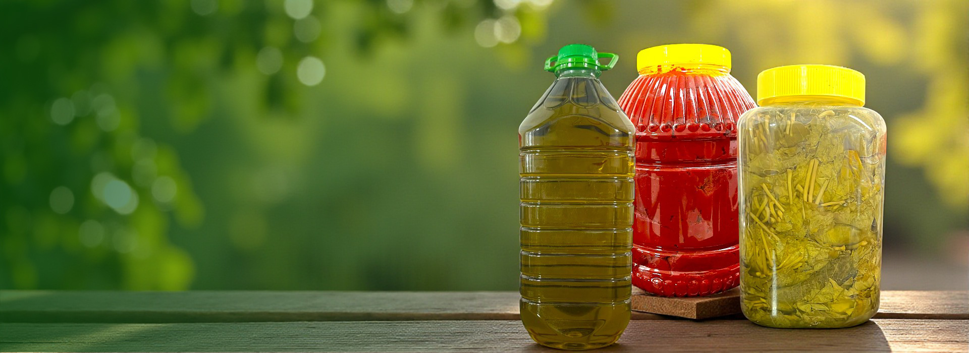 zeytinyagi zeytinyagi